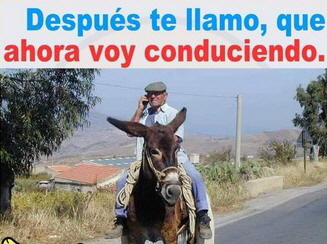 movilidad burro