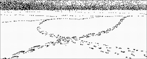 politische-landschaft